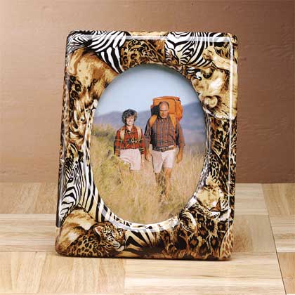 28308safariframe.jpg