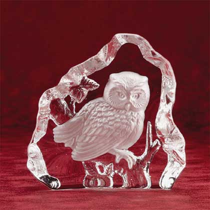 28315owl.jpg