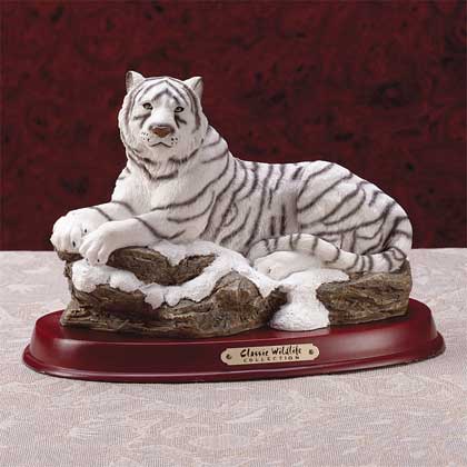 29016whitetigerhead.jpg