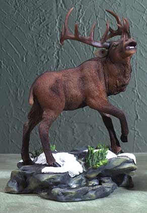 30284calloftheelk.jpg
