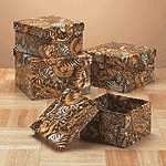 35234safariprintgiftboxset.gif